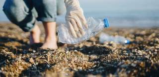 SIDMOUTH eco holidays