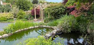 Lush garden with a small pond surrounded by stones and vibrant plants. A wooden pergola stands in the background, evoking a serene and peaceful atmosphere.