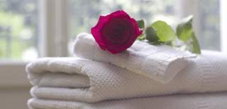 rose on towels