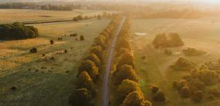 A aerial shot of Beverley Westwood at sunrise