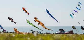 Kites flying in the sky at Bridlington Kite Festival in East Yorkshire