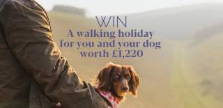A dog with its owners sat on a bench overlooking the Yorkshire Wolds with the text Win a walking holiday for you and your dog worth £1,220.
