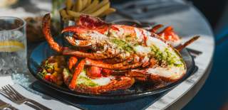 A plated dish of fresh Bridlington Bay Lobster ready to enjoy at Salt on the Harbour.