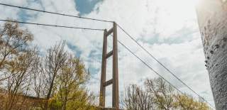 Looking up at the Humber Bridge through the trees on Hessle Foreshore