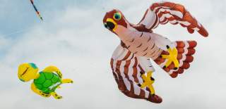 An eagle and a turtle kite flying side by side at the Bridlington Kite Festival