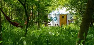 Yurt at Plush Tents