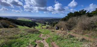 a view of countryside from Kingley Vale