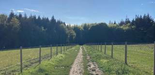 Cycle path in the South Downs