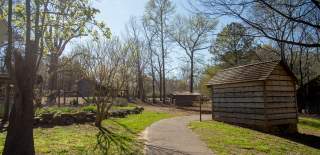 mcdaniel farm