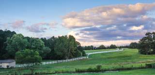 field and sky, Alegre Farms