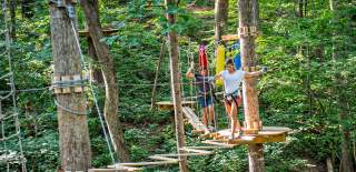 Two people navigate treetops at Treetop Quest Gwinnett, surrounded by green foliage and wooden platforms.