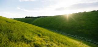 Picture of a sunny field in the Yorkshire wolds.