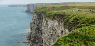 Bempton Cliffs
