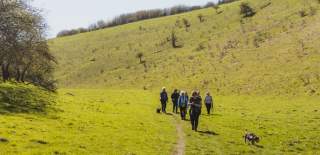 group of hikers approach a lush green valley lined by trees. they are joined by a dog