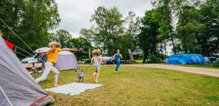 Camping New Forest Family at site
