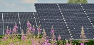 solar panels on roof