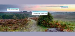 What3Words Banner