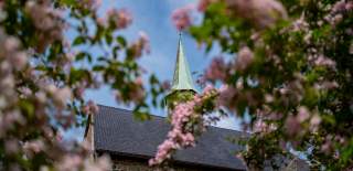 Et kirkespir med et tre foran som har rosa blomster