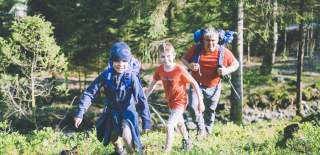 To barn og en voksen på sommertur i i skogen. Foto.