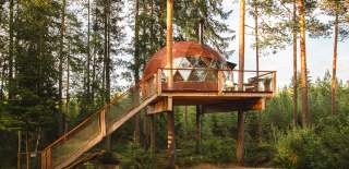 Tree top dome seen from the side, tree house in the trees