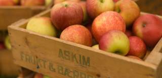 Eplekasse fra Askim Frukt og bærpresseri