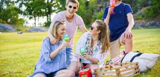 Venner på på piknik i Nesparken en sommerdag