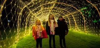 Three young children outdoors facing the camera beneath a tunnel of fairy lights