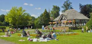 A busy park on a summers day