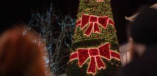 Southampton Christmas Market Christmas tree with big red bow lights