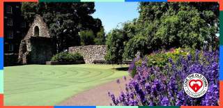 Bright purple lavender bush infront of Town Quay Park