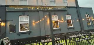 The Mallard