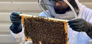 Anthony with his hive of bees