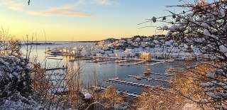 Utsikt over Risør havn i vinter