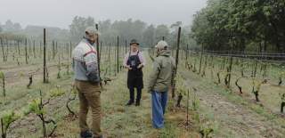 Sørlandet er ikke spesielt kjent for vinproduksjon, i hvert fall ikke i tradisjonell forstand, slik som områder i Frankrike, Italia eller Spania er. Norge har generelt et kaldt og krevende klima for vinproduksjon, og vinindustri er fortsatt i en tidlig utviklingsfase her til lands.