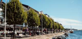 Arendal vårbilde Pollen