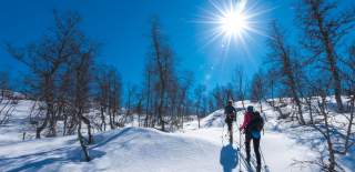 Vinter, fjelltur, Setesdal Norge