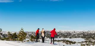mennesker på ski