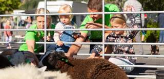 Familie på Sauesjå