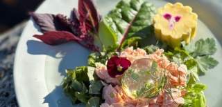 Ørret på tallerken, Brokkestøylen Setesdal