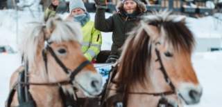 to hester  som drar en slede