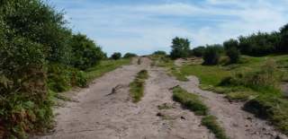 Great Walking Thurstaston has lots of walking trails to explore