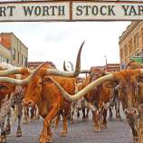 Stockyards
