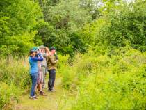 birding at Peveto Woods Bird and Butterfly Sanctuary