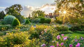 Borde Hill, house in background with roses in the foreground and the sun peeping through the trees. By claudia Gaupp