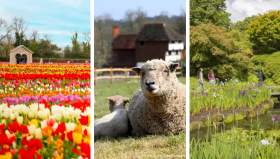 Sussex in Spring
