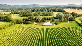 Albourne Vineyard
