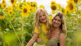 Sunflower Maze at Cowdray