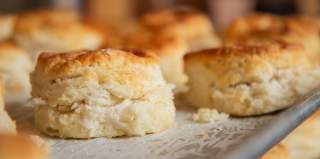 PVD POV: Baking Up Success with Irregardless Biscuit – A Year of Flavor & Community