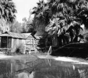 agua caliente hot springs first bathhouse 1910