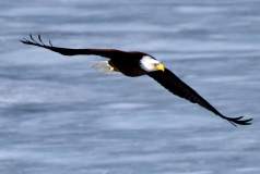 Merry & Bright Events in Keith County